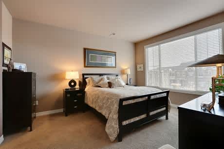 10142 Bluffmont Lane at Bluffmont Estates in RidgeGate, Lone Tree, CO