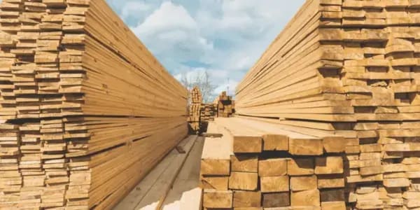 Canadian Lumber Tariffs Cut by More than Half