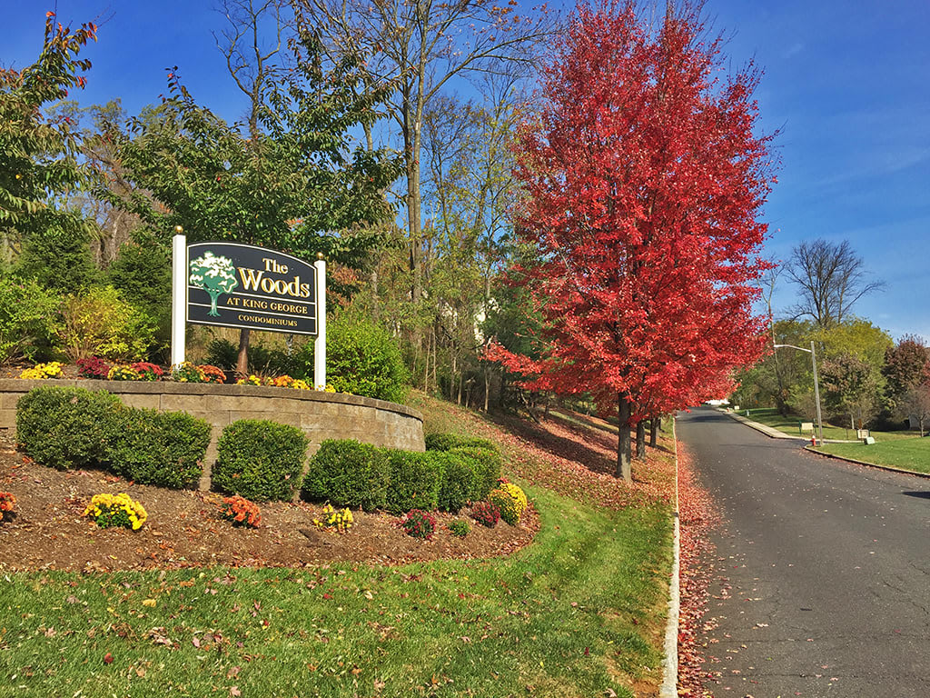 The Woods at King Geoge Apartments Ferruggia Associates Ferruggia