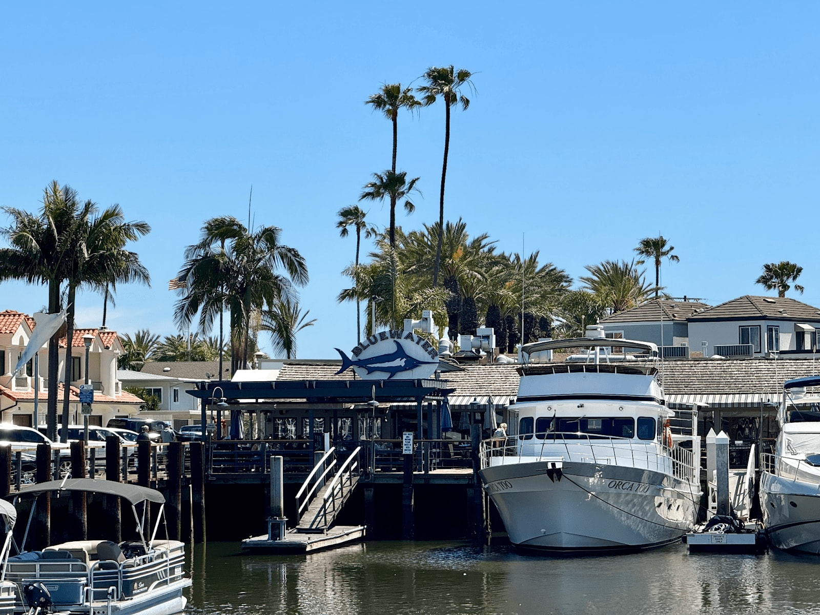 Bluewater Grill restaurant and marina with palm trees and yachts in Newport Beach.