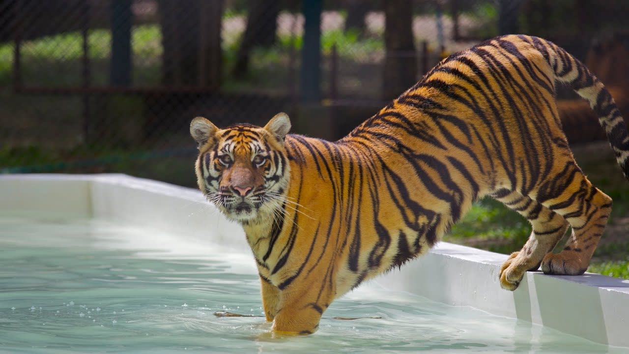 Le Saichan - Chiang Mai, Thailand