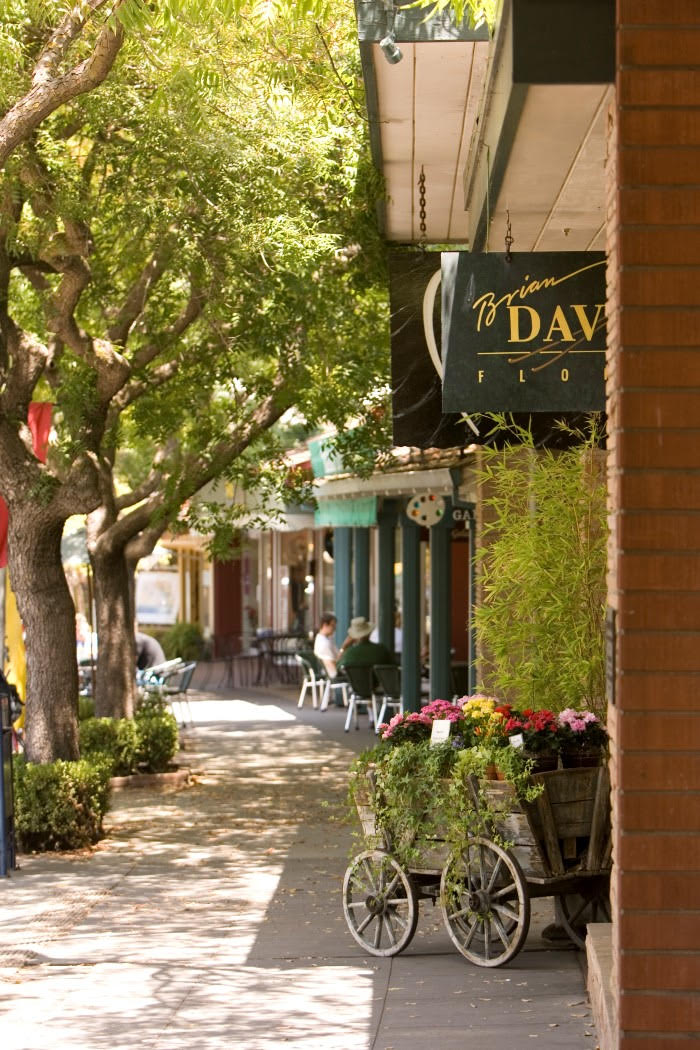 Discover the Charms of Living in Los Altos A Gem in Silicon Valley