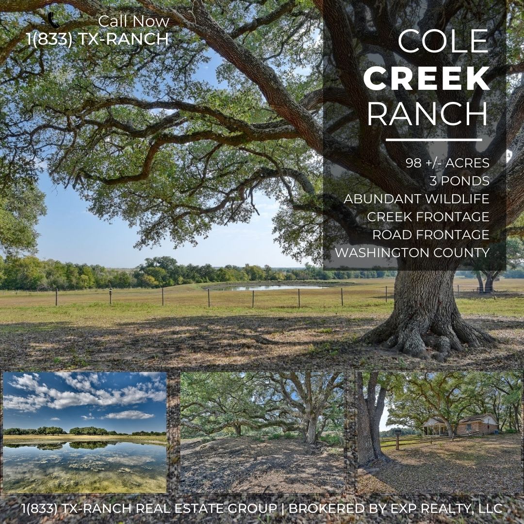 Coles Creek Ranch | Serene 98.95 +/- Acre Ranch Retreat in Charming Brenham, Texas
