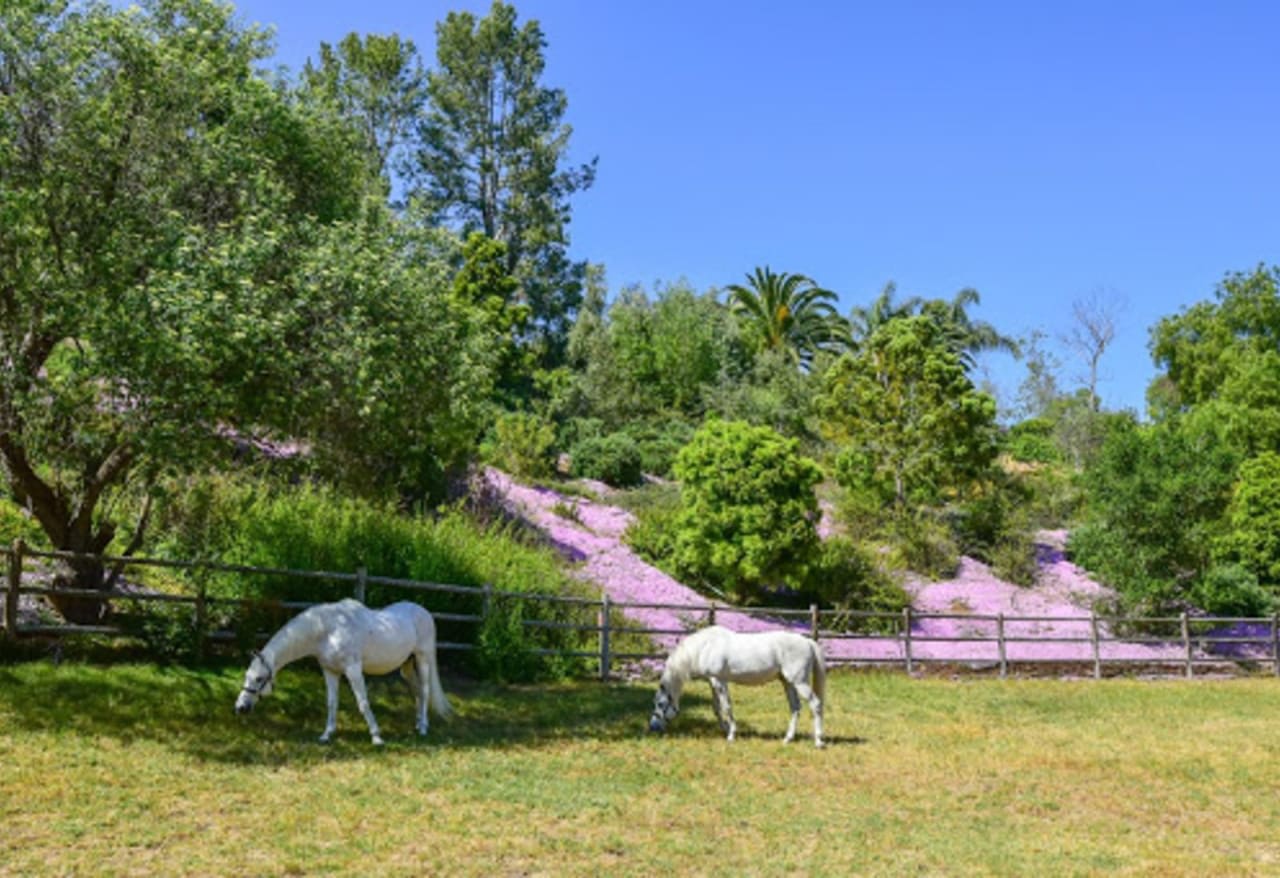 horses on rancho santa