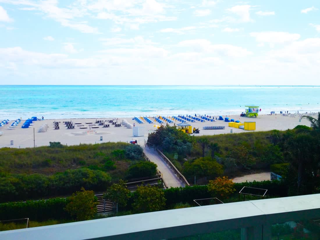 Miami DNA | The APT Team | Miami Beach Real Estate Agents