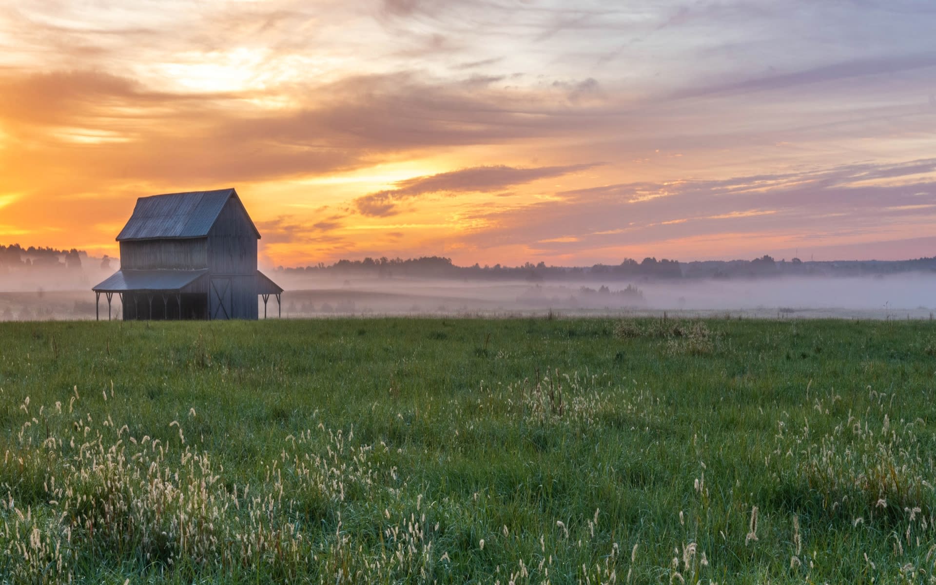 Zion Crossroads Denise Ramey Real Estate Team