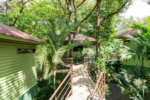 6 Beautiful Tree House Villas and Owners Home on Calle Toucan