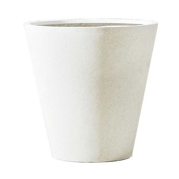 Curb Appeal Modern Stunner