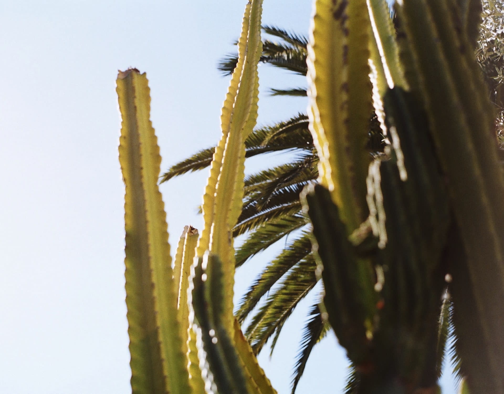 David Sidley Palm Springs Real Estate