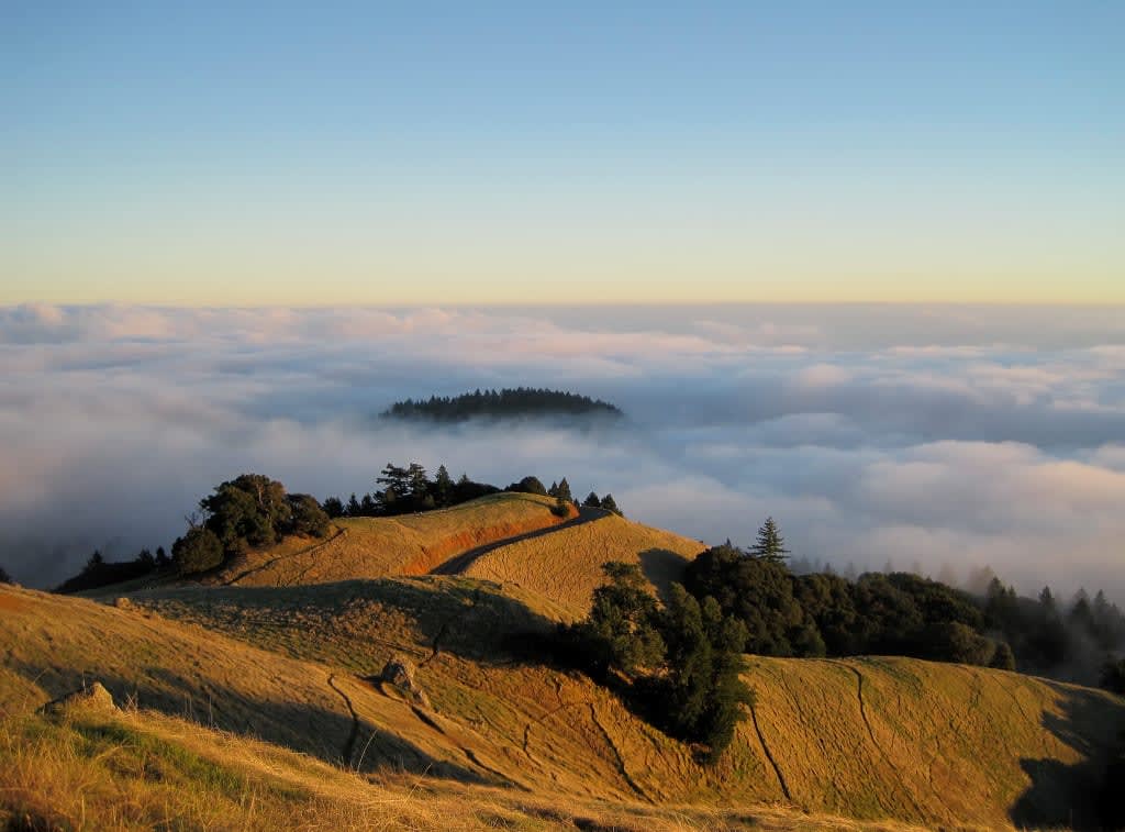 Top 3 Hikes in Marin County