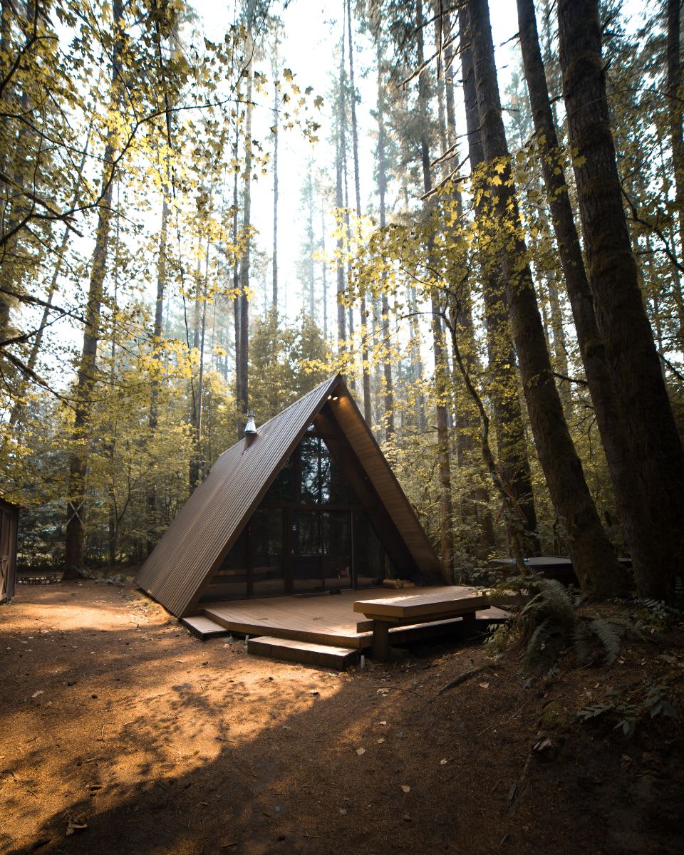 A small, rustic cabin nestled amidst a dense forest of evergreen trees.