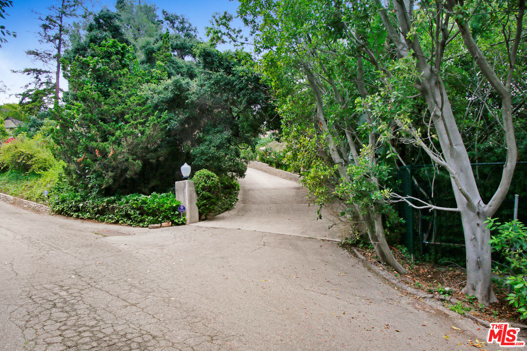 Benedict Canyon Drive