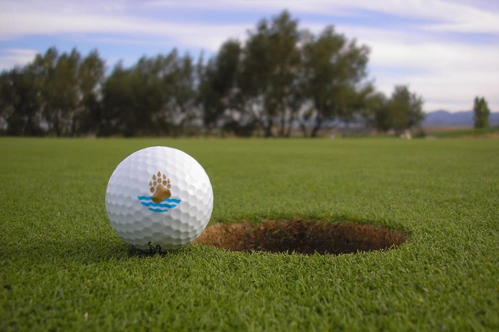 7 Best Golf and Country Clubs in Denver, Colorado