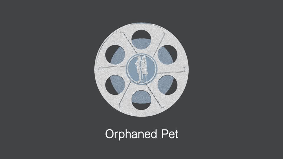 Orphaned Pets