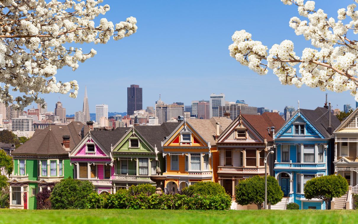 Painted Ladies and San Francisco skyline with spring cherry flowers tree.