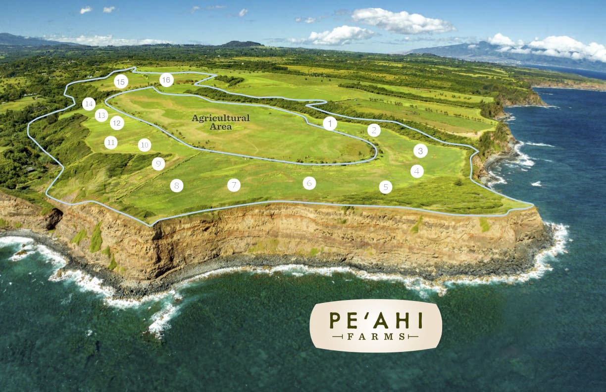 Pe’ahi Farms on Maui’s North Shore: 13 Lots Sold, 3 Lots Remain