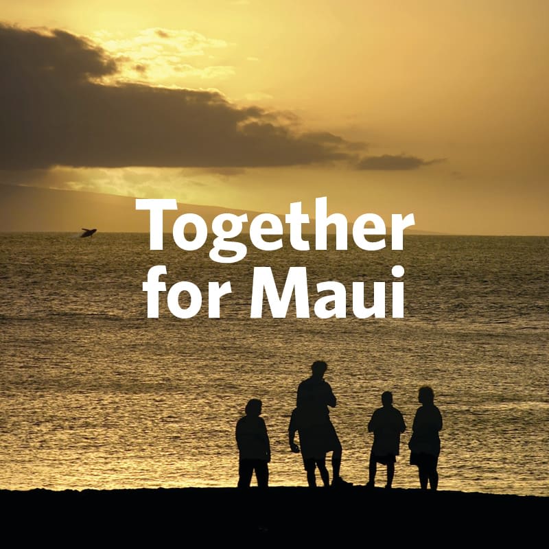 Kauai Real Estate Update, Maui Lynda Gill Hawaii Real Estate Agent