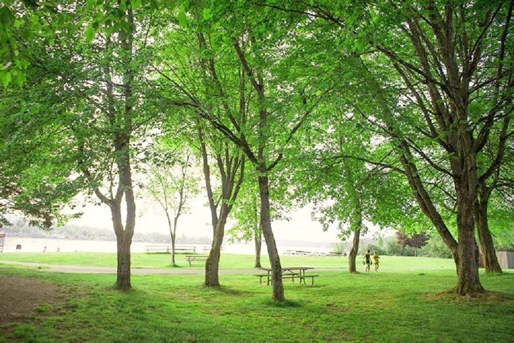 Lake Sammamish State Park