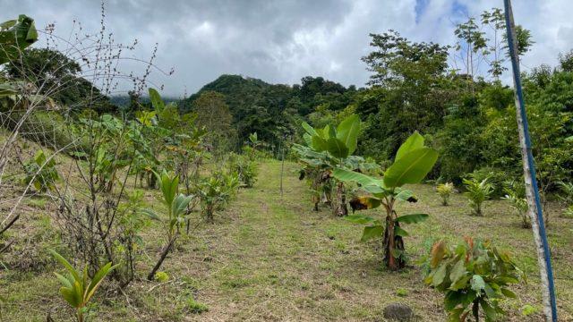 Riverfront Ranch Above Uvita With Waterfalls, and Ocean Views