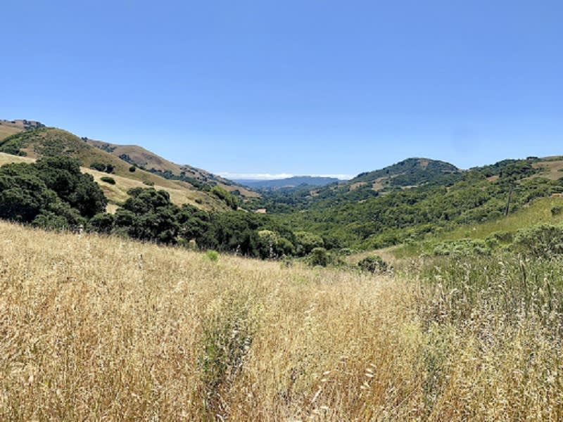 Big Rock Ridge Trail