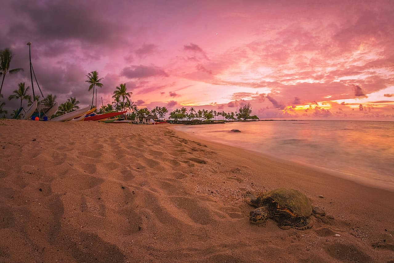 Hawaii beach scene for Big Island Real Estate buying from the SF Bay Area.