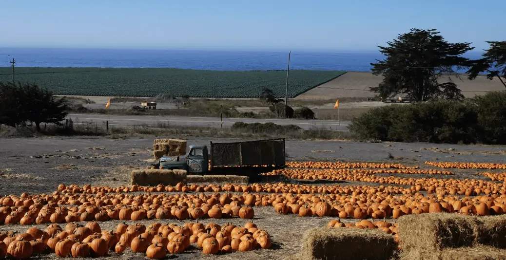 Halloween Fun in Santa Cruz County