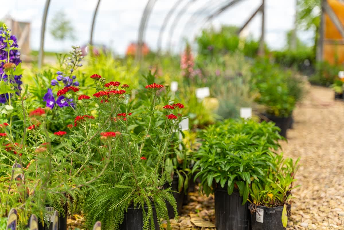 LOCAL LOVE - Summer 2021 Part 1