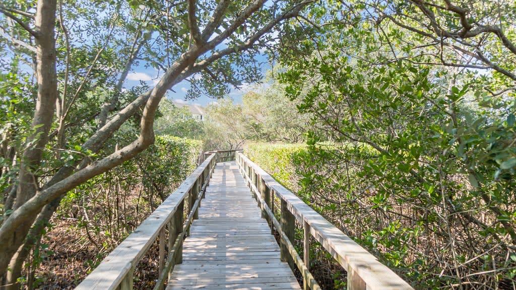 Terra Ceia Bay Country Club