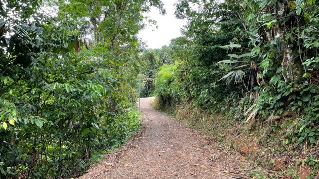 Riverfront Ranch Above Uvita With Waterfalls, and Ocean Views