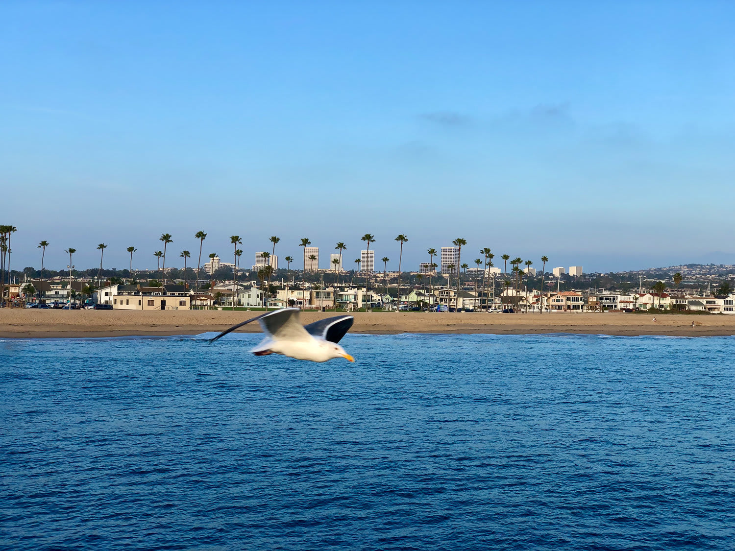 Scenic view of Newport Beach coastline