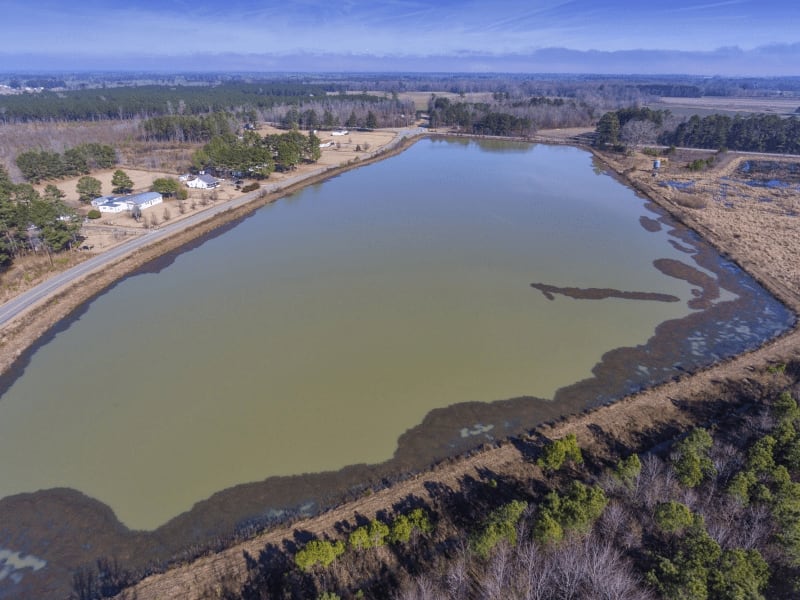 Duck Lease NC Duck Hunting Leases Blog Legacy Farms and Ranches