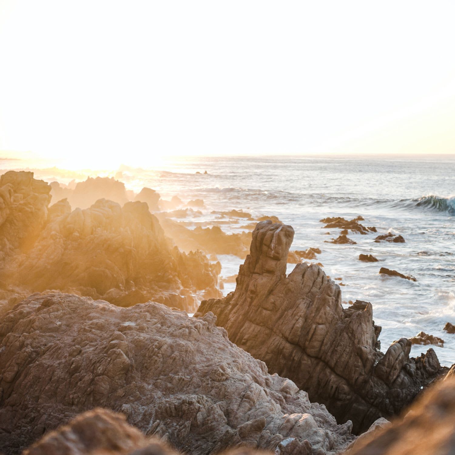 Terri Dunn Manhattan Beach Real Estate Agent & Realtor