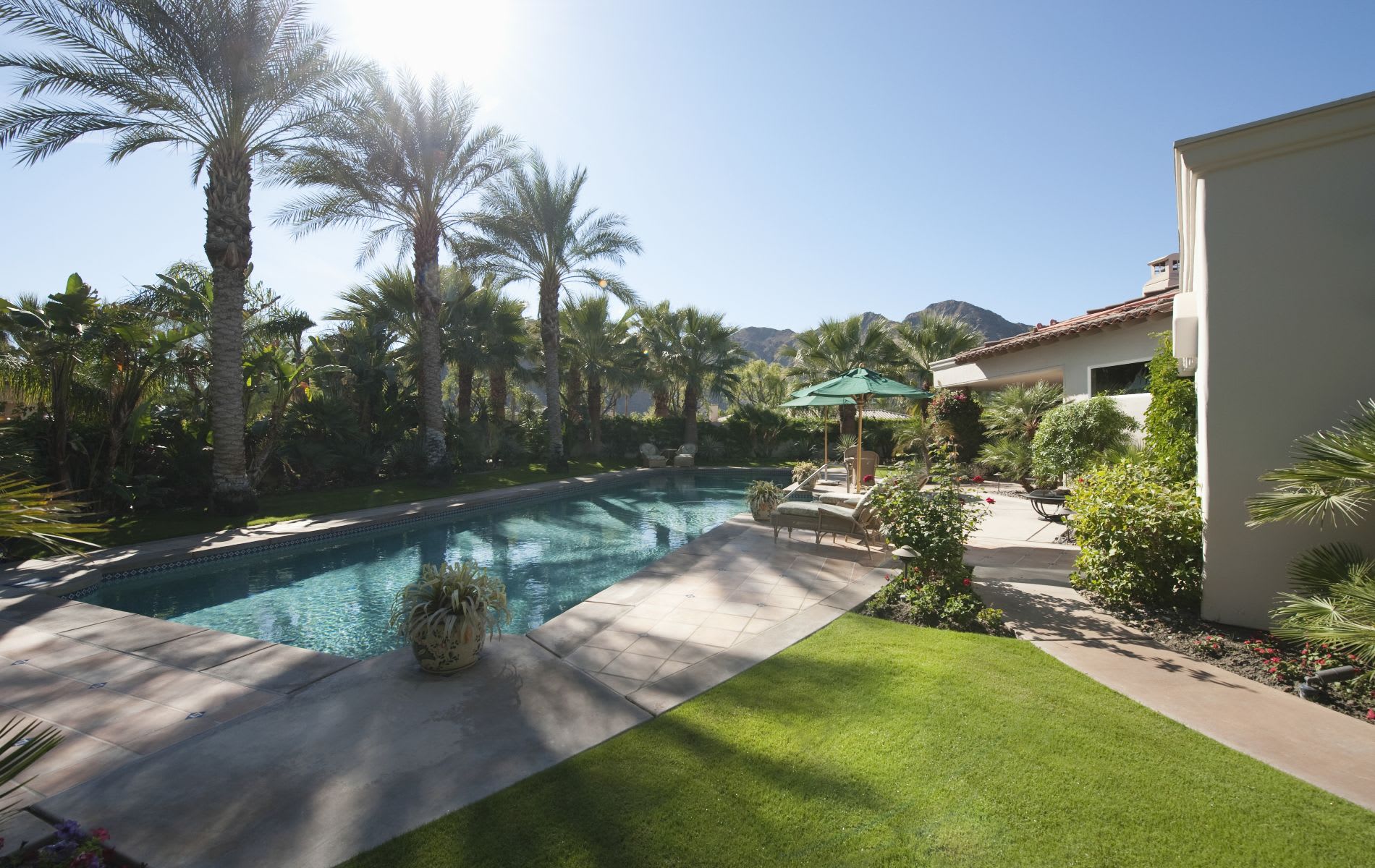 Arizona Luxury Real Estate Agents ROCO Luxury Homes