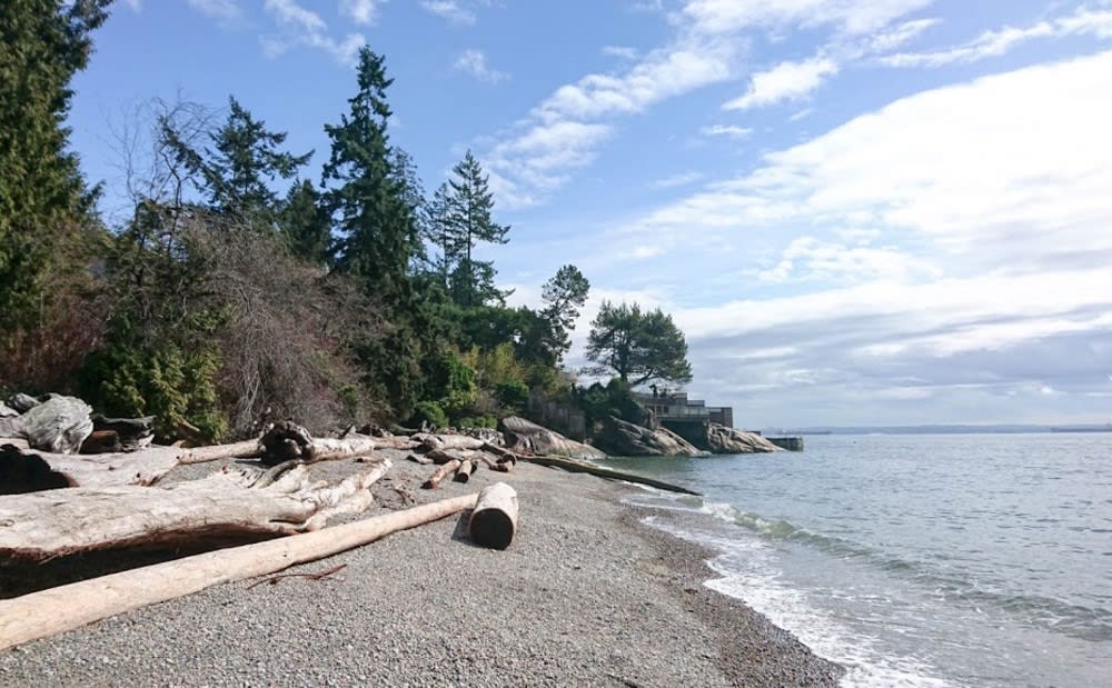 Lighthouse Park