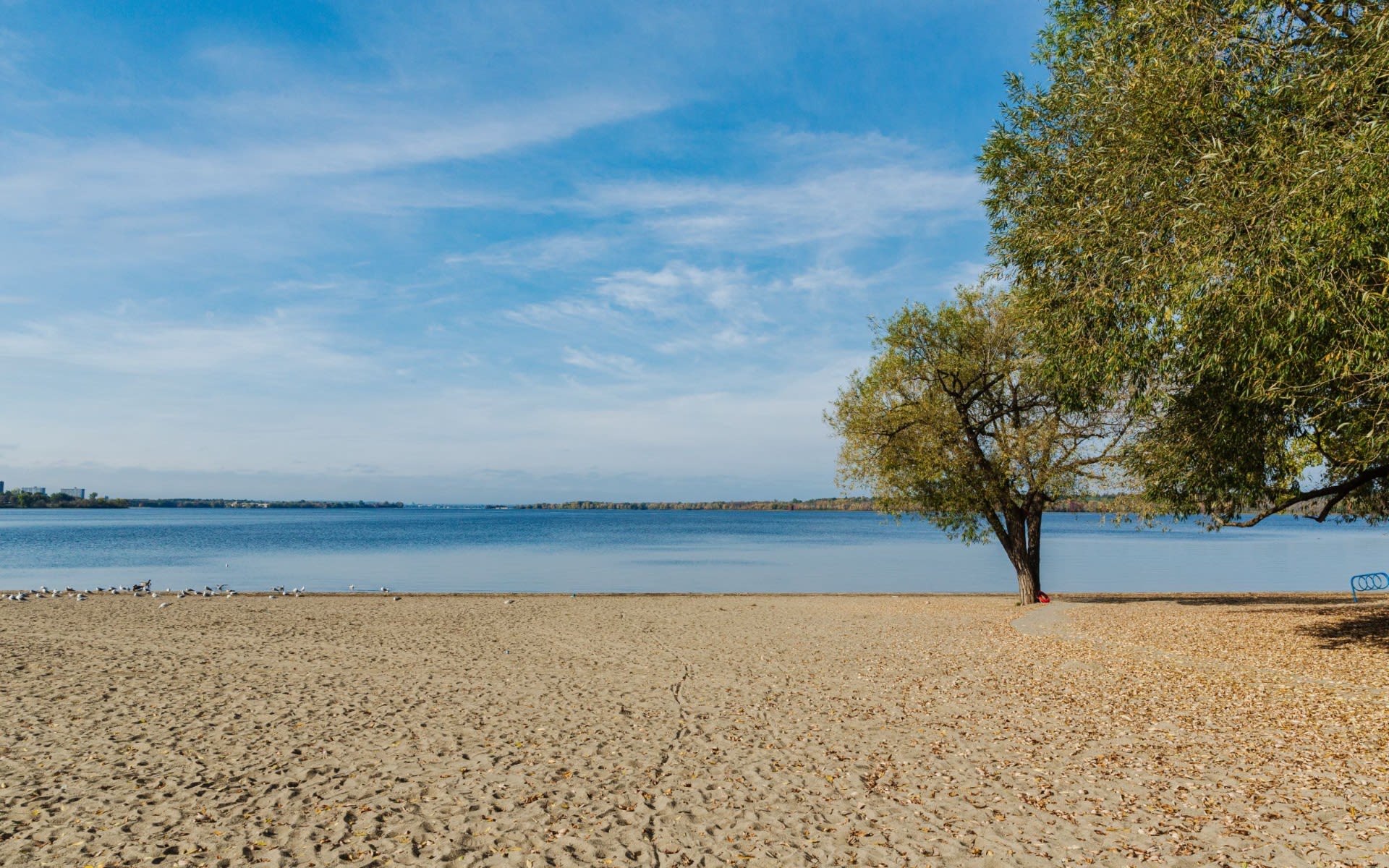 Westboro Homes for Sale Serge Papineau Real Estate