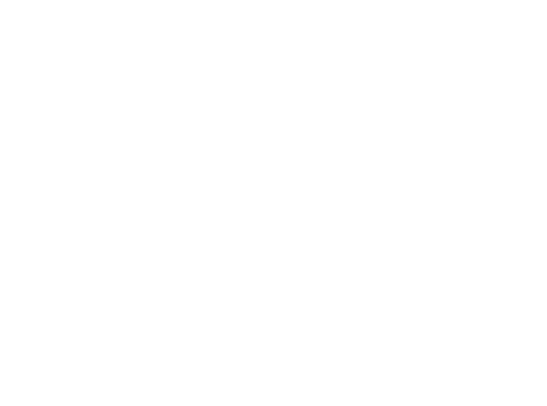 teamshellback.com