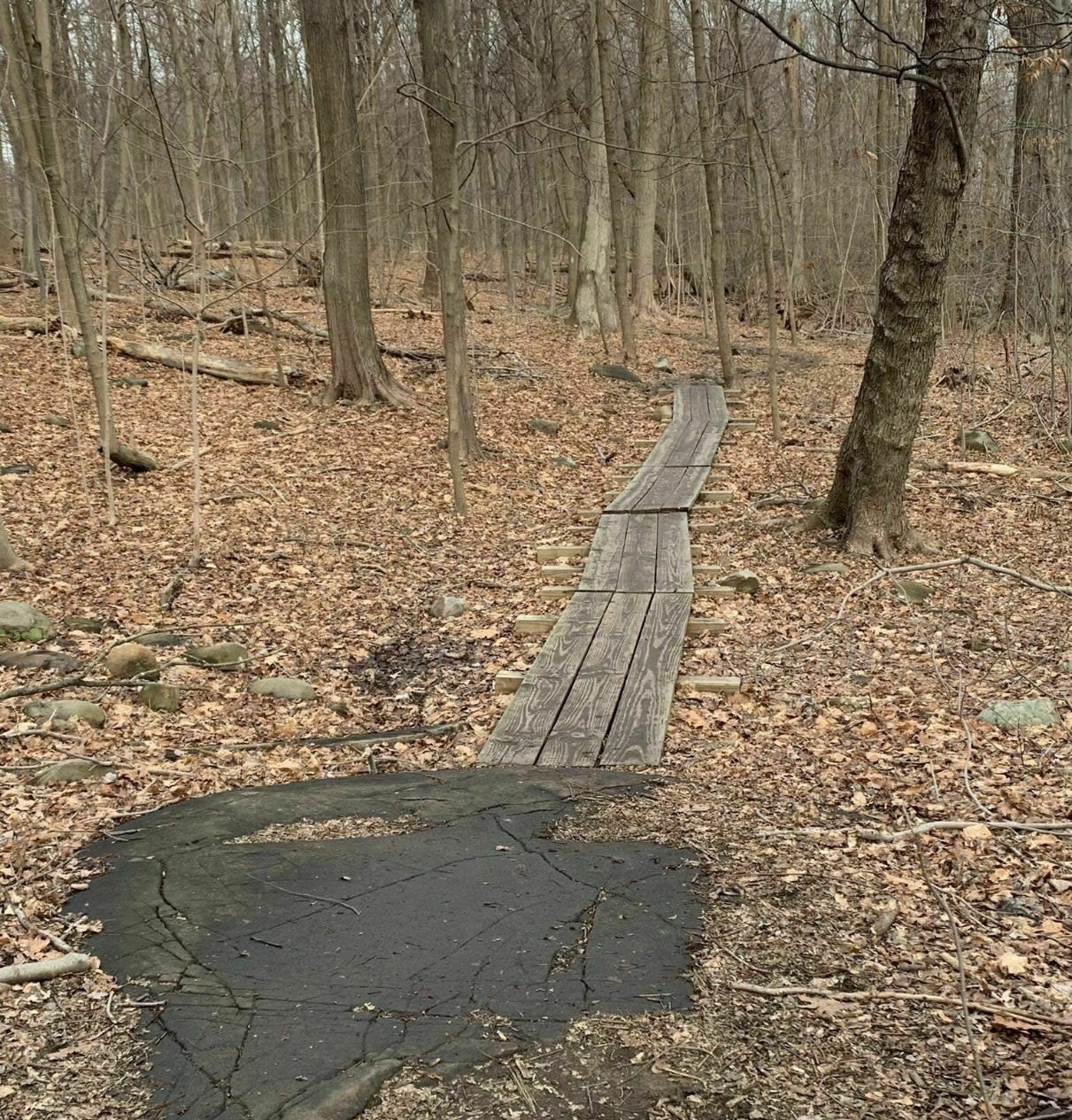 Teaneck Creek Conservancy