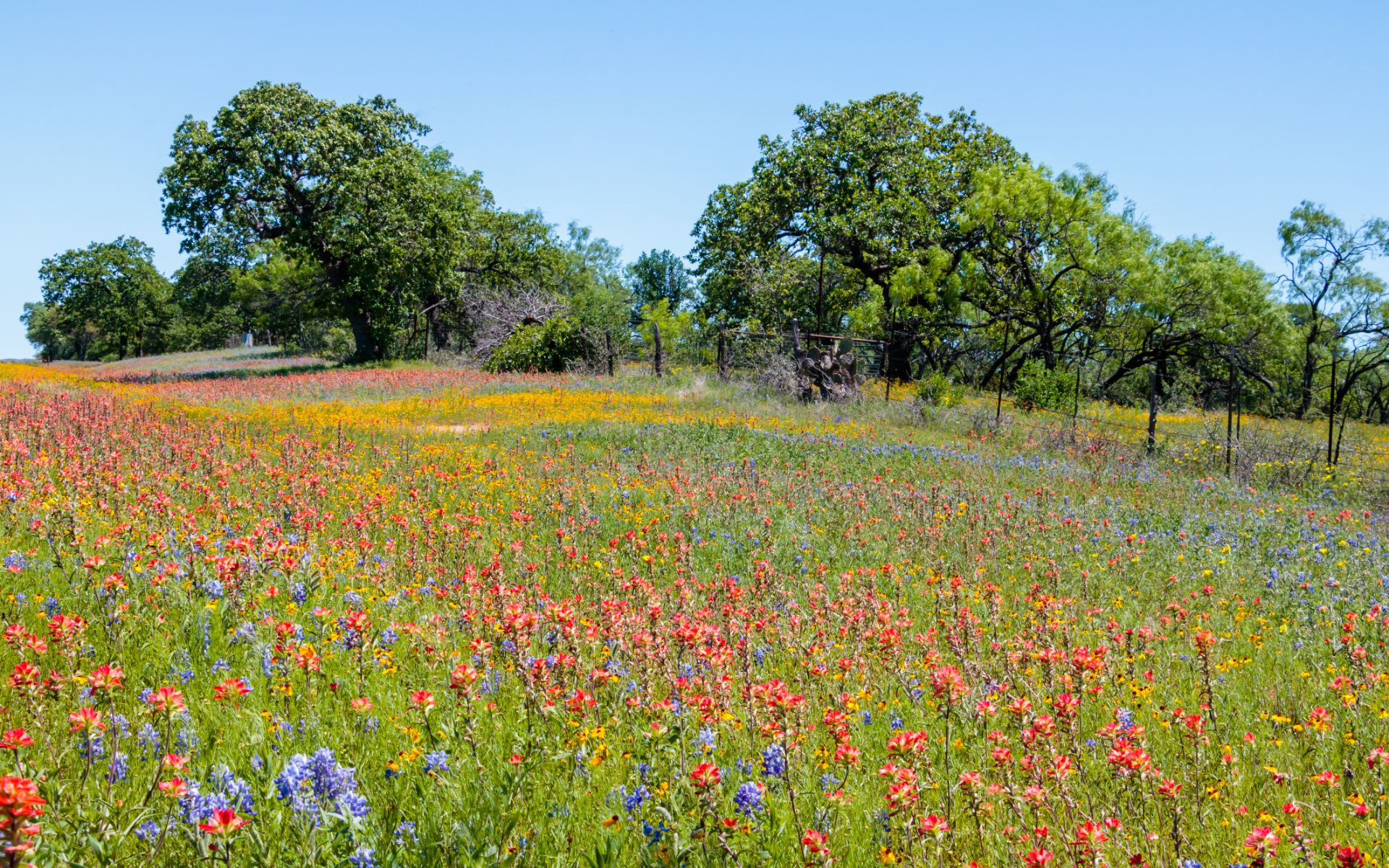 Mason, TX Real Estate & Homes For Sale Treff Herber