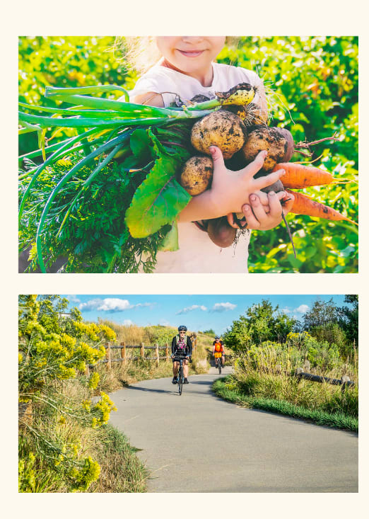 Milliken Community Guide