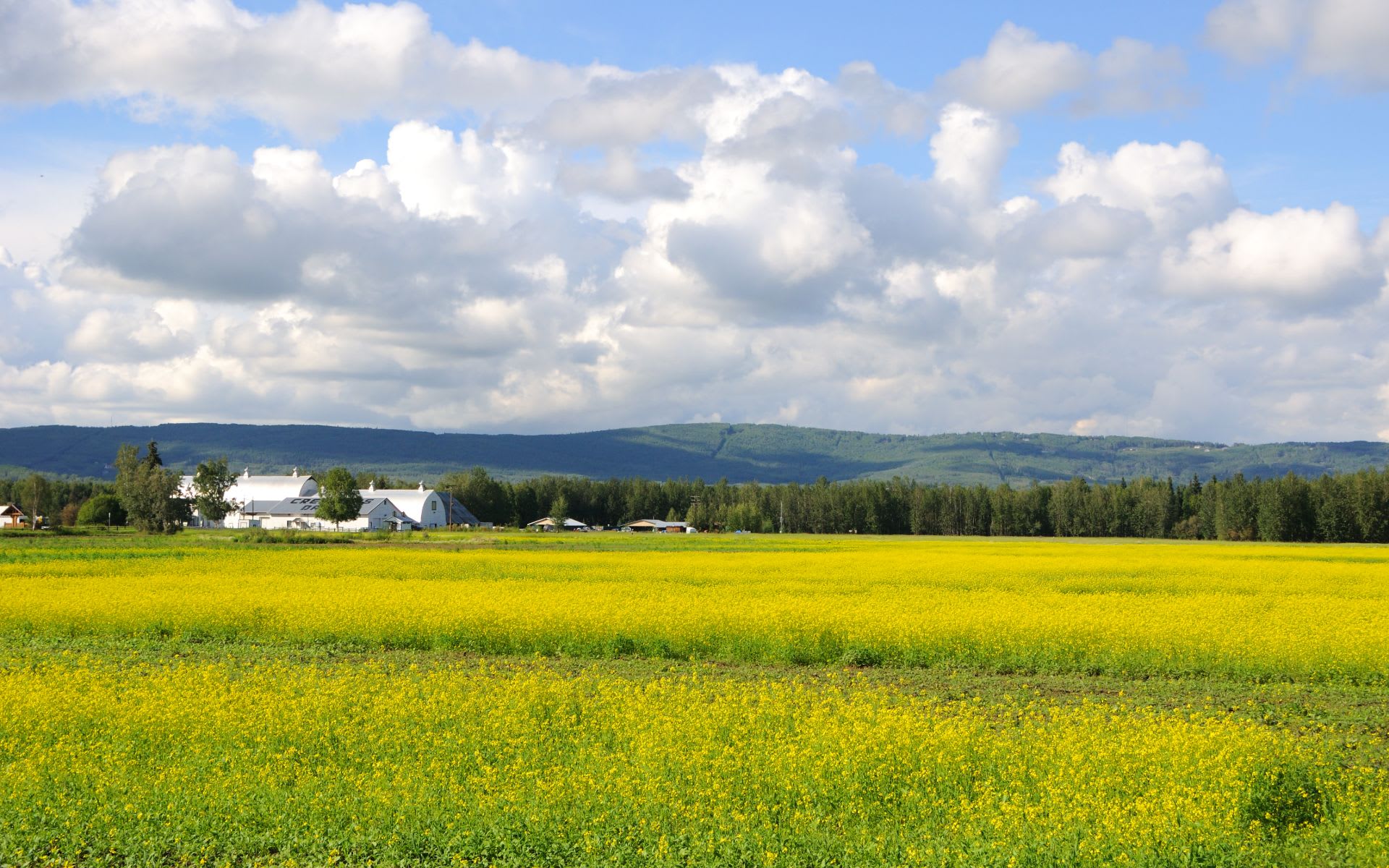 J. Riley Realty Suzanne Marina Jasso Sitka Real Estate Agent