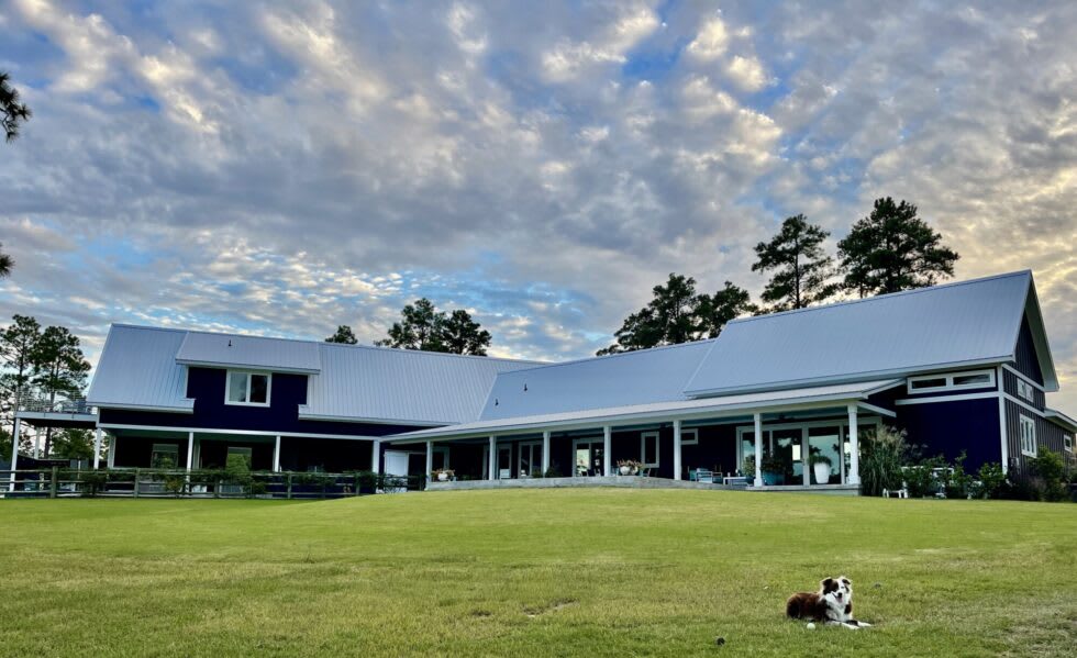 A Horse Farm Tour in Southern Pines