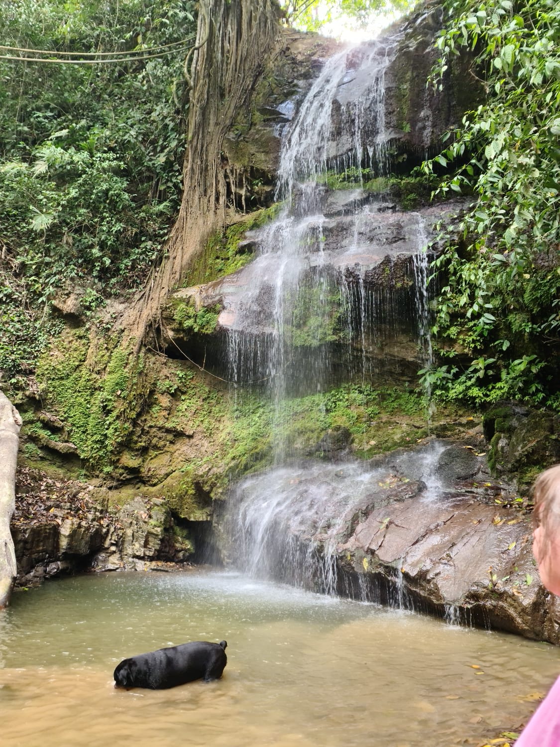 Finca Río General in Santa Luisa