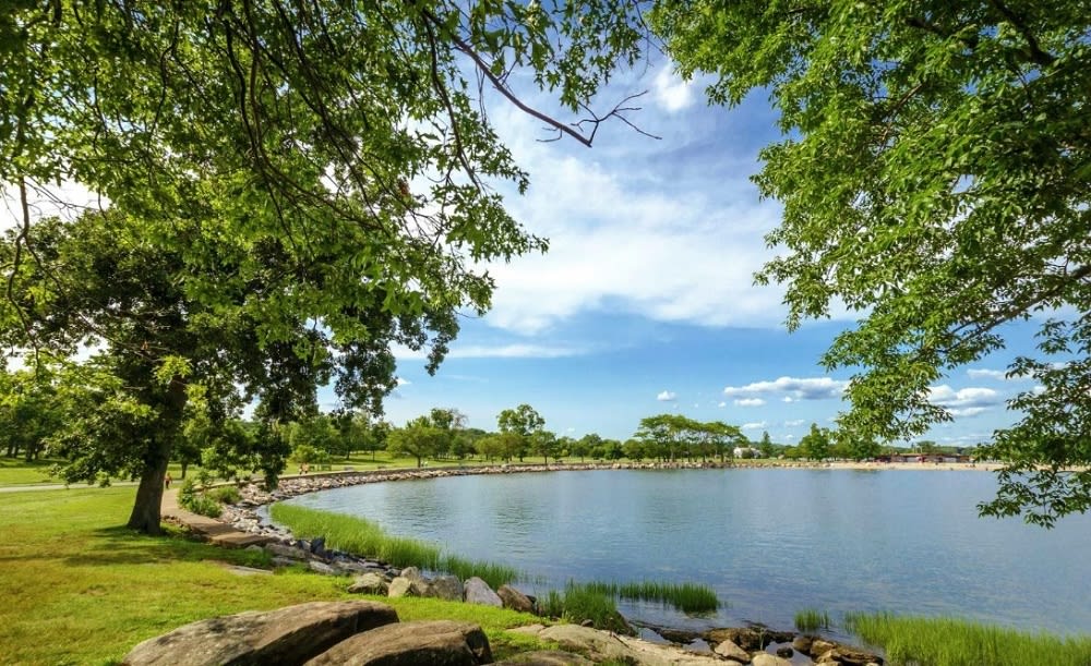 nature view of Cove Island Park in Stamford, CT