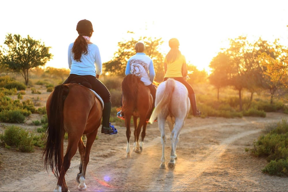 Riding trails