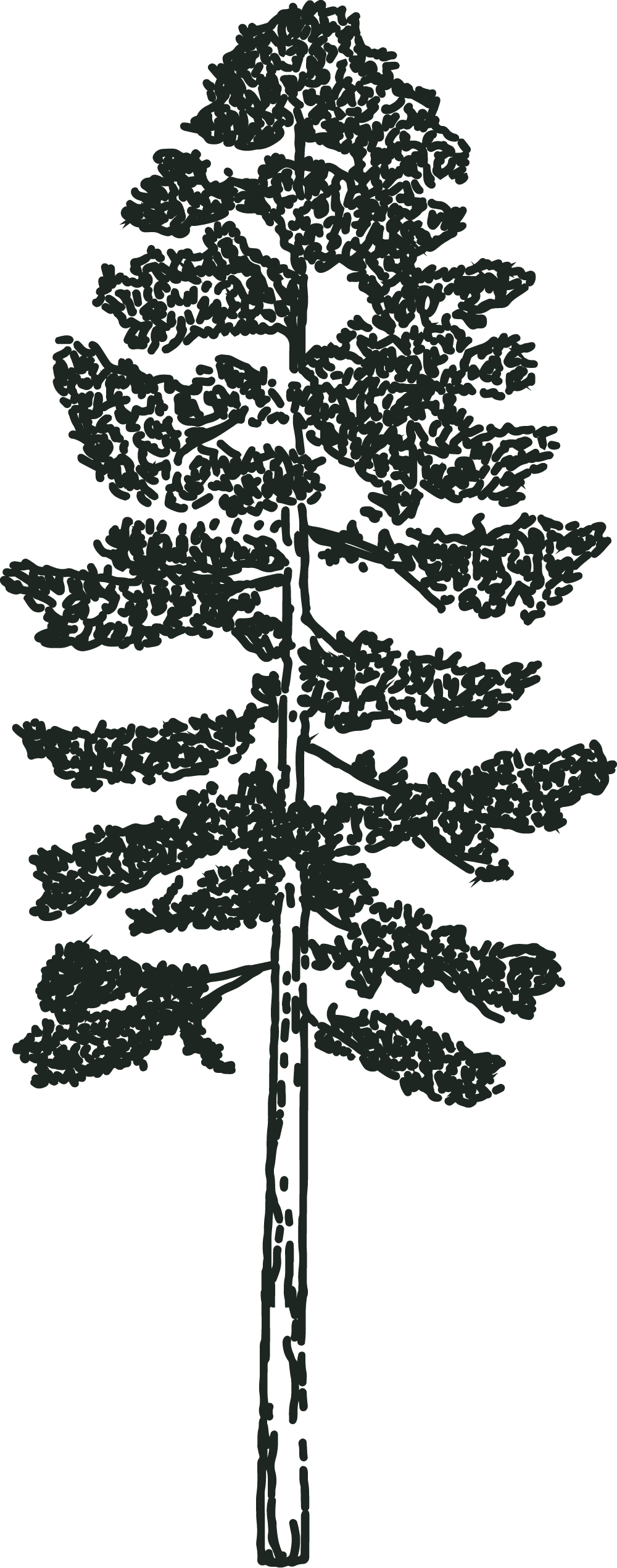 Black Pine Real Estate Deadwood, SD Real Estate