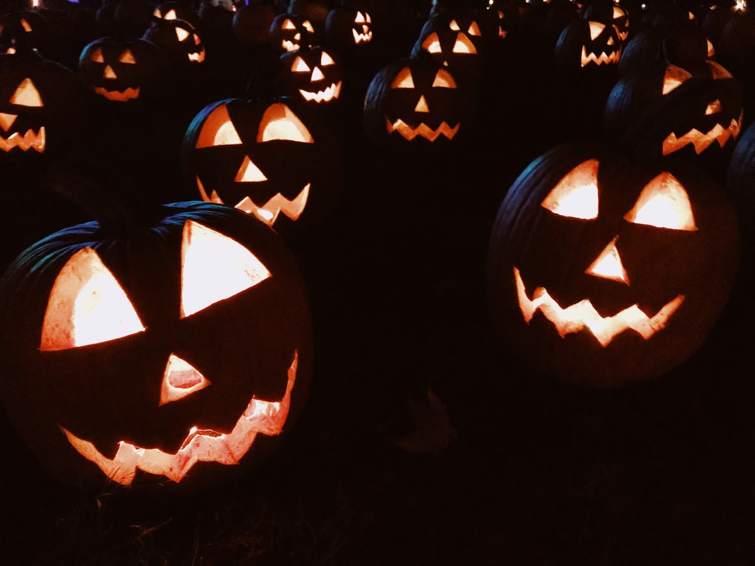 Jack O'Lantern Magic - Fall Activities in Castle Rock, Castle Pines, Littleton, Highlands Ranch