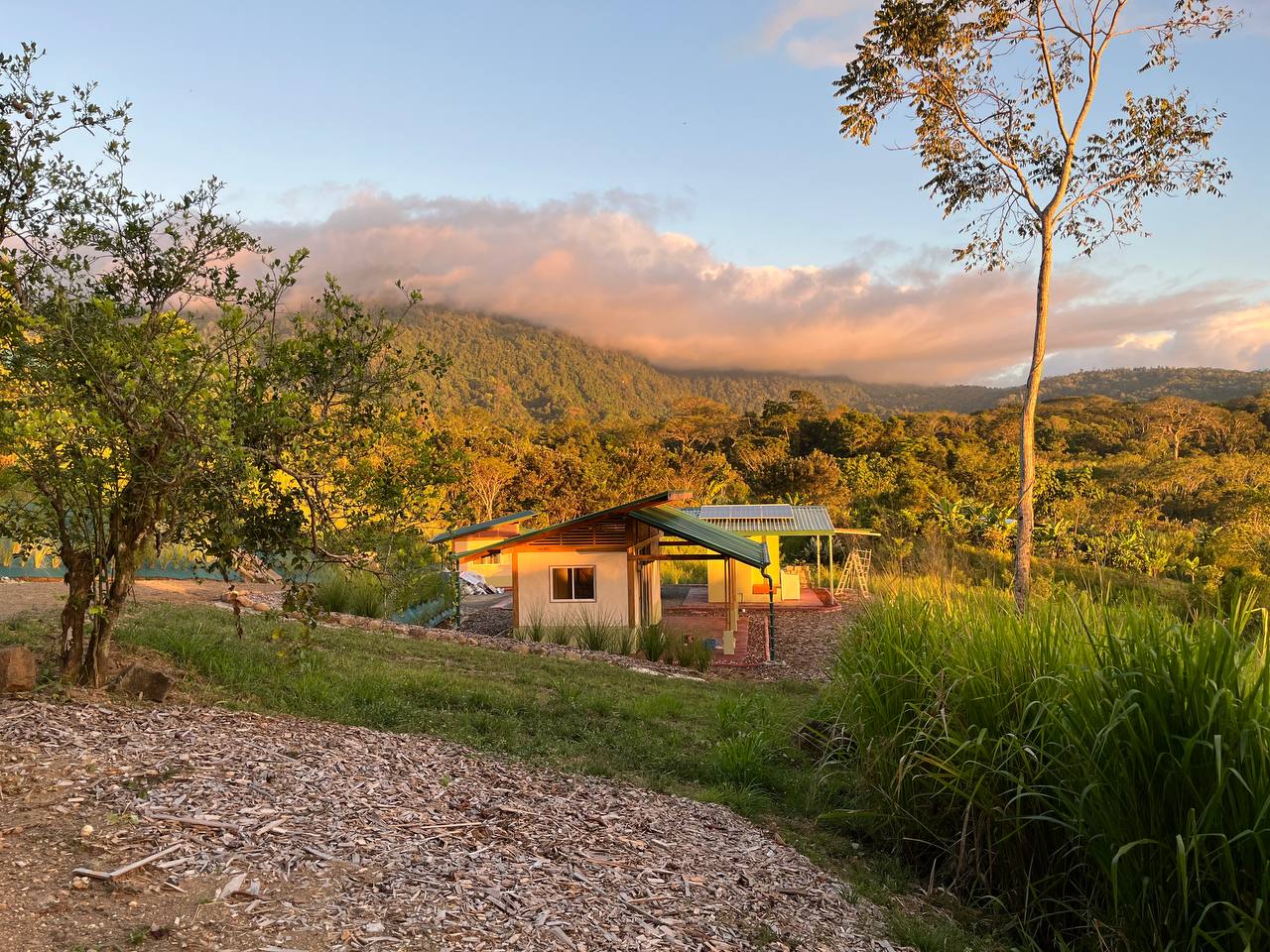 Finca Harmony in Platanillo