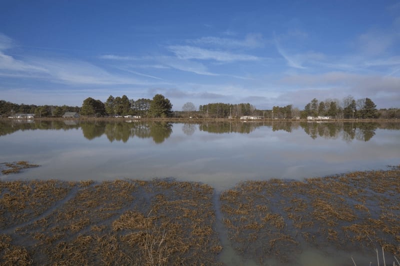 Duck Lease NC Duck Hunting Leases Blog Legacy Farms and Ranches