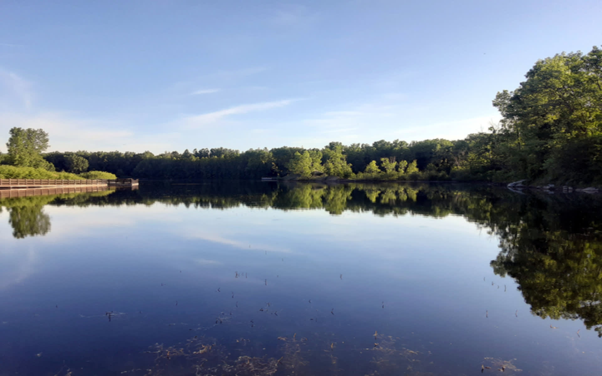 Haslett, MI Real Estate Houses and Homes for Sale