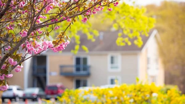 Preparing Your Bergen County Home for the Spring 2024 Real Estate Market